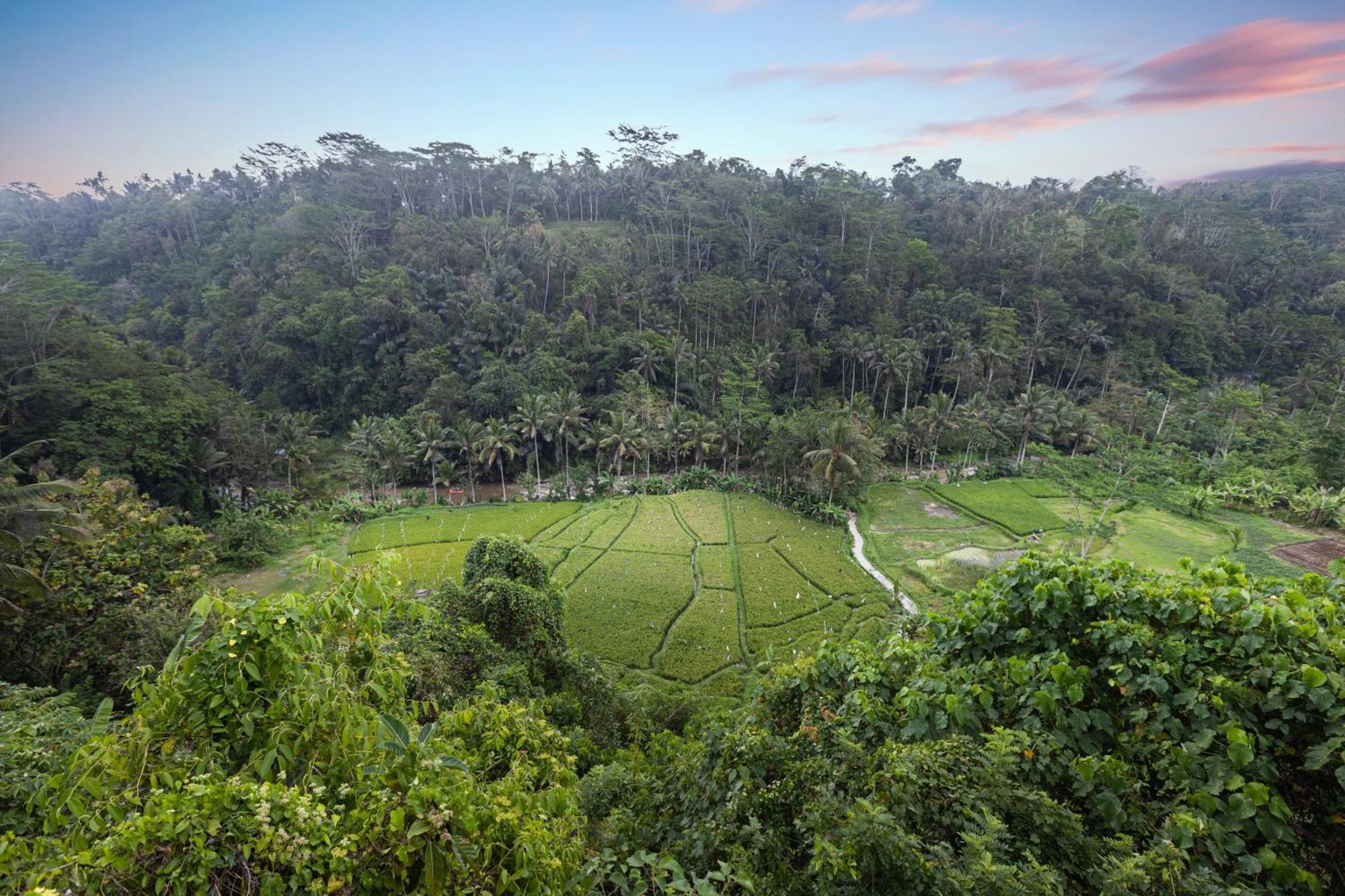 Black Penny Villas Ubud Exterior foto